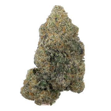 Gelato