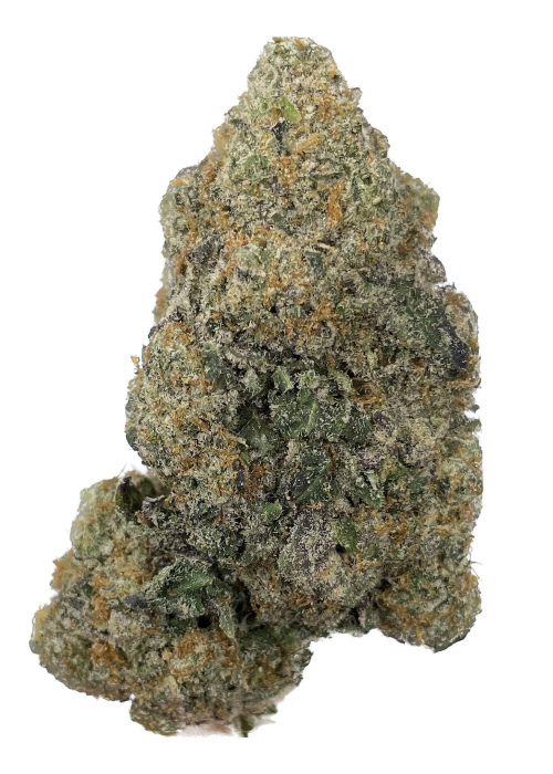 Gelato