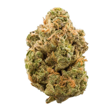 Amg  haze