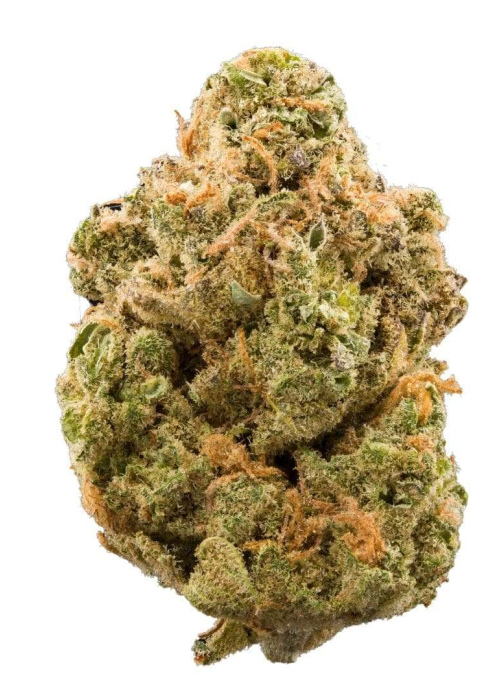 Amg  haze