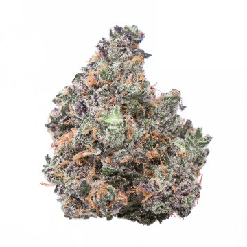 Candy land