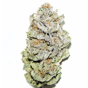 Super lemon haze