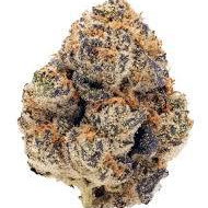 Pink gelato